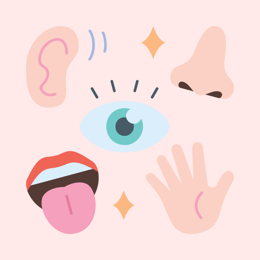 Activities for stimulation of 5 senses